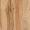Baxton Studio Glidden ModernOak Brown Finished Wood 2-Door Shoe Storage Cabinet 196-11929-ZORO - alternate 3